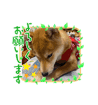 雪風ちゃんと仲間達の日常（個別スタンプ：4）