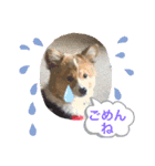 雪風ちゃんと仲間達の日常（個別スタンプ：7）