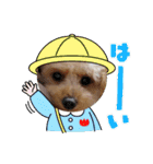 マロンと挨拶（個別スタンプ：5）
