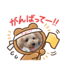 マロンと挨拶（個別スタンプ：6）