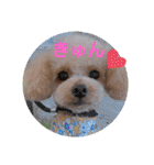 マロンと挨拶（個別スタンプ：14）