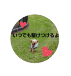 マロンと挨拶（個別スタンプ：30）