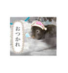 まさ吉スタンプ2（個別スタンプ：5）