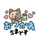 かわいいアルパカさんスタンプ③（個別スタンプ：5）