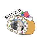 かわいいアルパカさんスタンプ③（個別スタンプ：9）