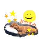 といぷーのりょうちゃん2（個別スタンプ：8）