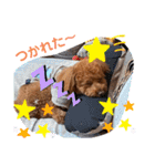といぷーのりょうちゃん2（個別スタンプ：12）