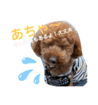 といぷーのりょうちゃん2（個別スタンプ：15）