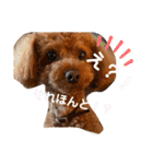 といぷーのりょうちゃん2（個別スタンプ：19）