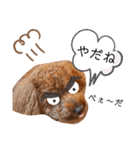 といぷーのりょうちゃん2（個別スタンプ：32）