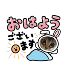 猫のチャム。（個別スタンプ：7）