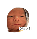 りっかりっかりっかすたんぷ（個別スタンプ：2）