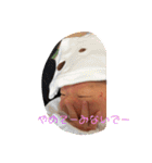 りっかりっかりっかすたんぷ（個別スタンプ：3）
