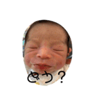 りっかりっかりっかすたんぷ（個別スタンプ：4）