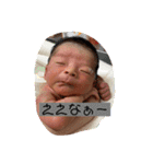 りっかりっかりっかすたんぷ（個別スタンプ：8）
