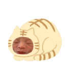 りっかりっかりっかすたんぷ（個別スタンプ：24）