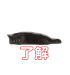 もずく(生後6ヶ月)スタンプ（個別スタンプ：3）