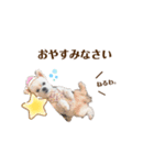 りんちゃんのごあいさつ。（個別スタンプ：2）