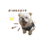 りんちゃんのごあいさつ。（個別スタンプ：3）