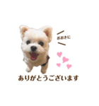 りんちゃんのごあいさつ。（個別スタンプ：6）