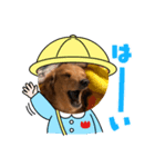 あんちゃこさん（個別スタンプ：5）