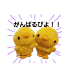 めいめいとなかまたち！！（個別スタンプ：5）