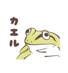 カエルの連絡（個別スタンプ：2）