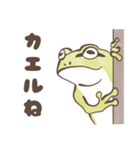 カエルの連絡（個別スタンプ：6）