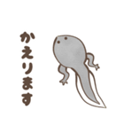 カエルの連絡（個別スタンプ：8）
