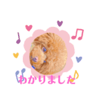 うめちゃんスタンプNo.1（個別スタンプ：4）