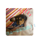 ちぇりぃスタンプ（個別スタンプ：6）
