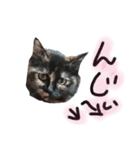 ねこ＆ウサギ（個別スタンプ：6）