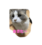 寝ていました（個別スタンプ：7）