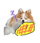 天とらんま。そのいち（個別スタンプ：6）