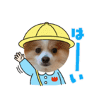 天とらんま。そのいち（個別スタンプ：7）