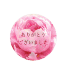 お花（日常使いそうな言葉）（個別スタンプ：2）