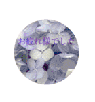 お花（日常使いそうな言葉）（個別スタンプ：5）