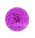 お花（日常使いそうな言葉）（個別スタンプ：8）