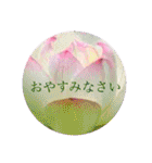 お花（日常使いそうな言葉）（個別スタンプ：9）