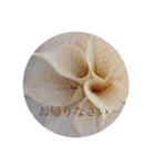 お花（日常使いそうな言葉）（個別スタンプ：13）