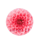 お花（日常使いそうな言葉）（個別スタンプ：16）