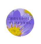 お花（日常使いそうな言葉）（個別スタンプ：20）