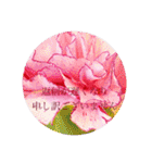 お花（日常使いそうな言葉）（個別スタンプ：21）