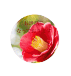 お花（日常使いそうな言葉）（個別スタンプ：23）