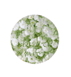 お花（日常使いそうな言葉）（個別スタンプ：24）