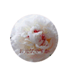 お花（日常使いそうな言葉）（個別スタンプ：25）