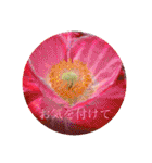 お花（日常使いそうな言葉）（個別スタンプ：28）