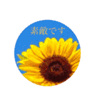 お花（日常使いそうな言葉）（個別スタンプ：29）