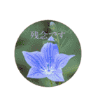 お花（日常使いそうな言葉）（個別スタンプ：30）