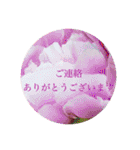 お花（日常使いそうな言葉）（個別スタンプ：34）